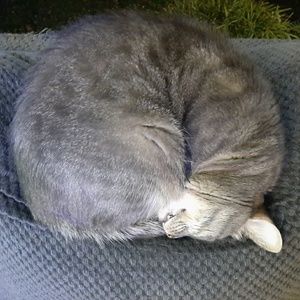 Meet your Posher, Kristin